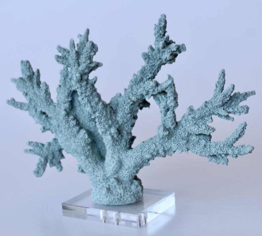 Pale Blue Coral On Perspex Base